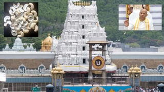 Tirupati Special Trains: శ్రీవారి భక్తులకు గుడ్ న్యూస్.. తిరుపతికి మరిన్ని ప్రత్యేక రైళ్లు.. పూర్తి వివరాలు