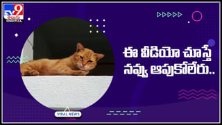 Viral Video: అది స్కూటరా.. జట్కా బండా.? ఒక బండిపై అంతమదా..? నెట్టింట వైరల్‌ అవుతున్న వీడియో