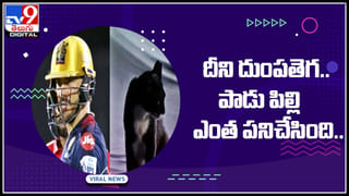 Viral Video: గుట్కా తినేవారికి అత్యున్నత అవార్డ్‌.. ఏంటంటే..? చీఫ్‌ గెస్ట్‌గా…