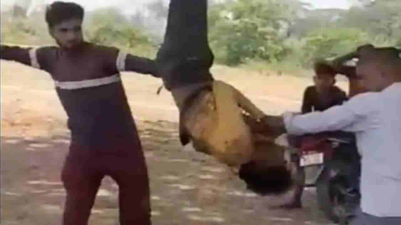 Chhattisgarh: చోరీకి వచ్చిన యువకుడు.. పట్టుకుని చెట్టుకు తలకిందులుగా వేలాడదీసి కొట్టిన వైనం.. వీడియో వైరల్