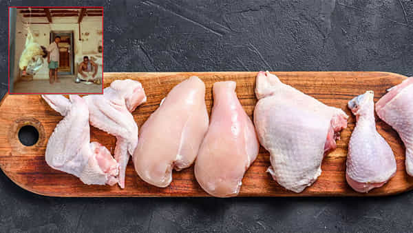 Chicken Price: ముక్క ముట్టేటట్టు లేదుగా.. ఏంది సామి ఈ రేట్లు.. ఇక కోటా గారి పద్దతి ఫాలో అవ్వాల్సిందేనా..?