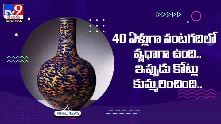 40 ఏళ్లుగా వంటగదిలో వృధాగా ఉంది.. ఇప్పుడు రూ. 11 కోట్లకు అమ్ముడుపోయింది !! 40 ఏళ్లుగా వంటగదిలో వృధాగా ఉంది.. ఇప్పుడు రూ. 11 కోట్లకు అమ్ముడుపోయింది !!