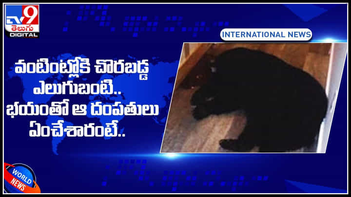 Bear attack: వంటింట్లోకి చొరబడ్డ ఎలుగుబంటి.. భయంతో ఆ దంపతులు ఏంచేశారంటే.. Bear attack: వంటింట్లోకి చొరబడ్డ ఎలుగుబంటి.. భయంతో ఆ దంపతులు ఏంచేశారంటే..