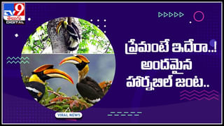 Viral Video: పార్టీకి పిలిస్తే.. బిర్యానీతో పాటు నెక్లెస్‌ మింగేశాడు !! పొట్టలో ఆభరణాలు చూసి డాక్టర్లు షాక్‌