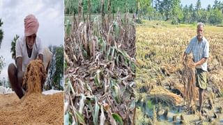 AP Weather Alert: ఏపీ ప్రజలకు అలెర్ట్.. మరో మూడు రోజుల పాటు వివిధ ప్రాంతాల్లో మోస్తరు నుంచి భారీ వర్షాలు..