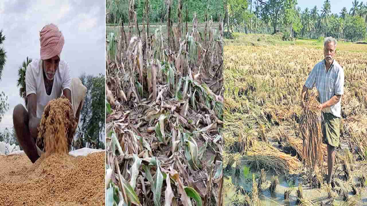 Cyclone Asani : అసని పంజాతో రైతుగుండె చెరువు.. ఉప్పు మొదలు పప్పు, బియ్యం వరకు ఊడ్చేసింది..