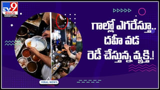 Viral Video: అపస్మారక స్థితిలో పైలెట్‌.. సేఫ్‌ ల్యాండ్‌ చేసిన పాసింజర్‌.! ఒక్కసారిగా ఊపిరి పిల్చున్న ప్రయాణికులు..