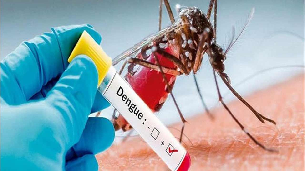 National Dengue Prevention Day: ఆ వ్యాధుల లక్షణాలే డెంగ్యూలో కనిపిస్తాయి.. అప్రమత్తంగా లేకపోతే ప్రమాదమే