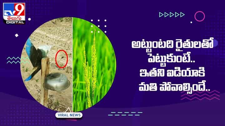 Viral Video: అట్టుంటది రైతులతో పెట్టుకుంటే.. ఇతని ఐడియాకి మతి పోవాల్సిందే !! Viral Video: అట్టుంటది రైతులతో పెట్టుకుంటే.. ఇతని ఐడియాకి మతి పోవాల్సిందే !!