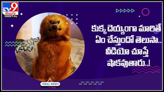 Viral Video: ఓ యువతను అనుకరిస్తూ డ్యాన్స్ చేస్తోన్న చిన్నారి.. భవిష్యత్‌లో అద్భుత డ్యాన్సర్ అంటూ ప్రశంసలు…