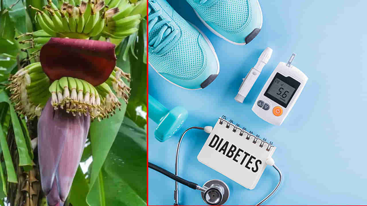 Diabetes: అరటి పువ్వుతో మధుమేహానికి సూపర్ ట్రీట్మెంట్.. రక్తంలో చక్కెరను వేగంగా తగ్గిచొచ్చు..