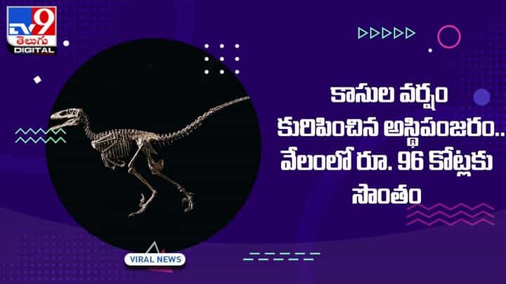 కాసుల వర్షం కురిపించిన అస్థిపంజరం.. వేలంలో రూ. 96 కోట్లకు సొంతం! కాసుల వర్షం కురిపించిన అస్థిపంజరం.. వేలంలో రూ. 96 కోట్లకు సొంతం!