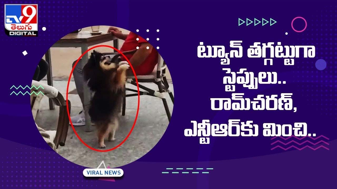 Viral Video: ట్యూన్‌ తగ్గట్టుగా స్టెప్పులు !! అల్లు అర్జున్‌కి పోటీగా ..