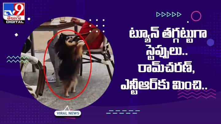 Viral Video: ట్యూన్ తగ్గట్టుగా స్టెప్పులు !! అల్లు అర్జున్కి పోటీగా .. Viral Video: ట్యూన్ తగ్గట్టుగా స్టెప్పులు !! అల్లు అర్జున్కి పోటీగా ..