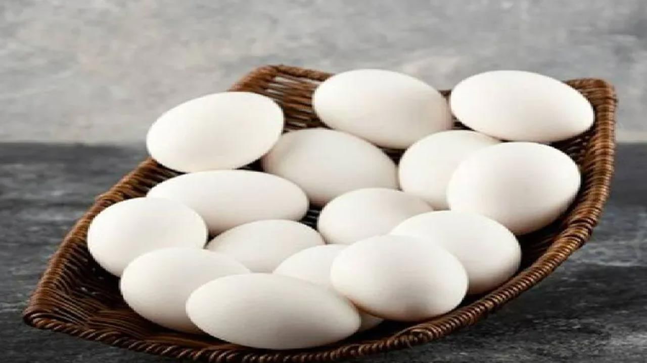 Egg Price: తగ్గిన కోడిగుడ్ల ధరలు.. ఆందోళన చెందుతున్న పౌల్ట్రీ రైతులు..!