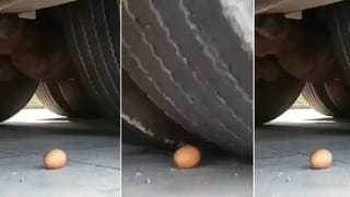 Viral Video: మనుషులు కూడా దీని ముందు దిగదుడుపే.. ‘కాకి’ ట్యాలెంట్ చూస్తే ఫ్యూజులు ఎగిరిపోతాయ్..!