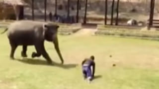 Viral Video: మనోడు బాలా నలభీముడు.. గరిట పట్టాడంటే ఘుమఘుమలాడాల్సిందే..! బుడతడి వంటకు నెటిజన్లు ఫిదా