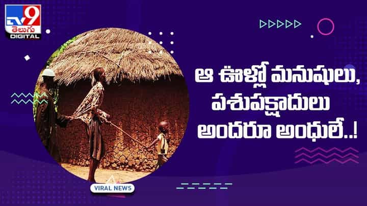 ఆ ఊళ్లో మనుషులు, పశుపక్షాదులు అందరూ అంధులే !! ఆ ఊళ్లో మనుషులు, పశుపక్షాదులు అందరూ అంధులే !!