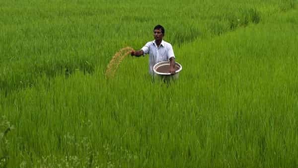 Good News: రైతులకి పెద్ద ఊరట.. మోడీ ప్రభుత్వం 2.5 లక్షల కోట్ల సబ్సిడీ..!