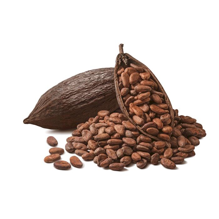 Feve De Cacao Large