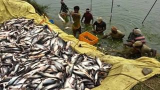 Bathini Fish Prasadam: అసలు విషయం తెలియక.. చేప ప్రసాదం కోసం క్యూ కడుతున్న జనాలు..