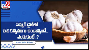 Garlic Benefits: సమ్మర్‌ డైట్‌లో వెల్లుల్లి కచ్చితంగా ఉండాల్సిందే.. ఎందుకంటే..?