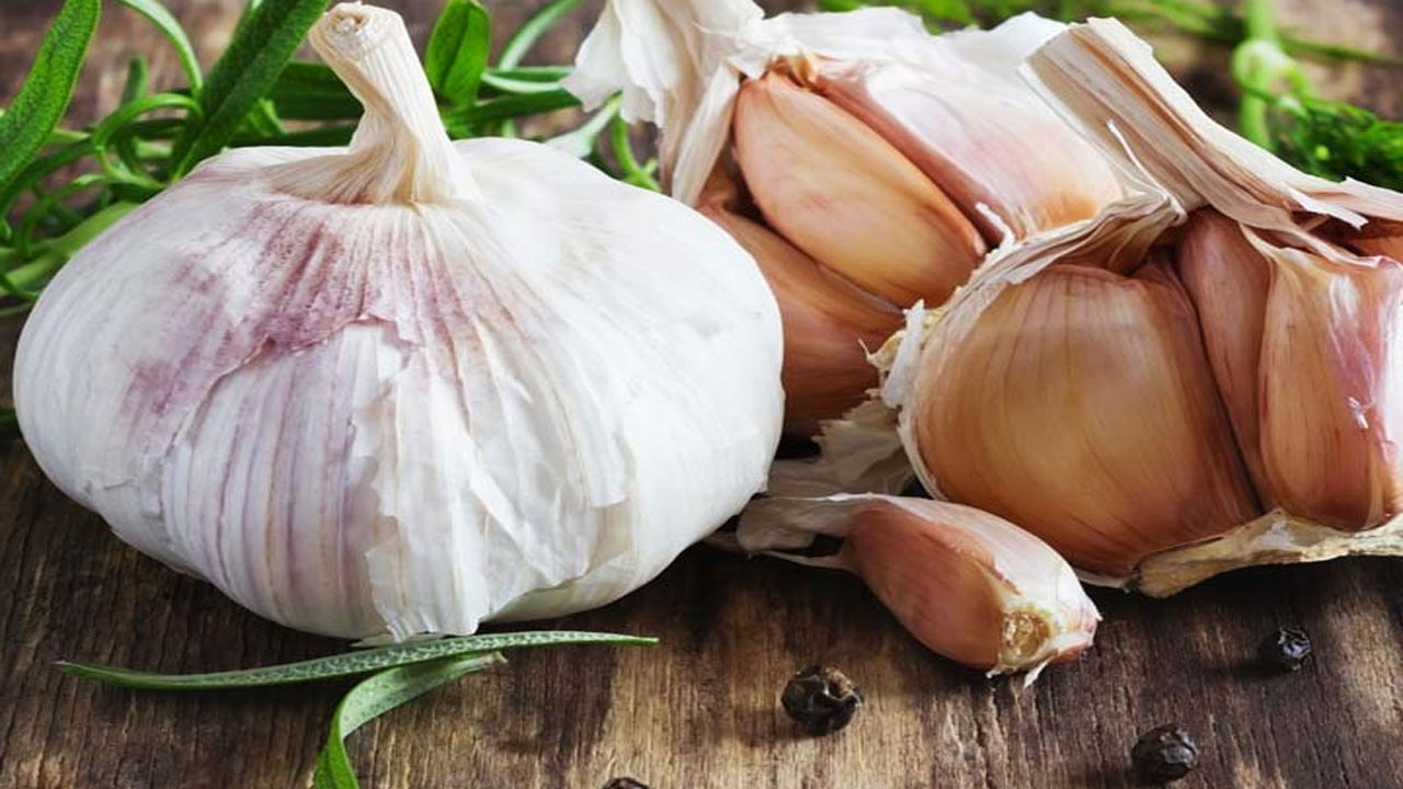 Garlic Benefits: వేసవికాలం వెల్లుల్లి కచ్చితంగా డైట్‌లో ఉండాలి.. ఎందుకంటే..?