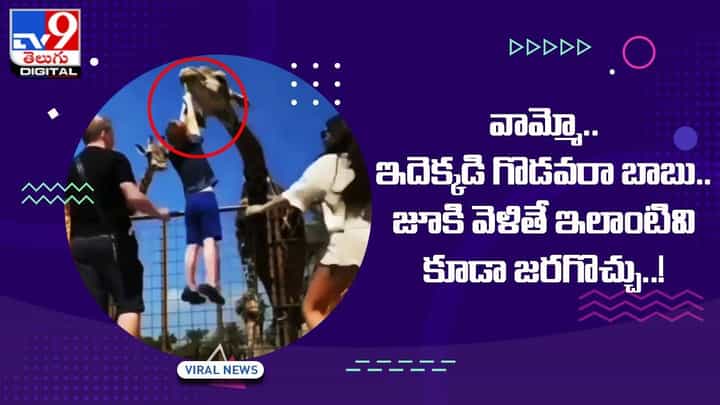 వామ్మో.. ఇదెక్కడి గొడవరా బాబు.. జూకి వెళితే ఇలాంటివి కూడా జరగొచ్చు !! వామ్మో.. ఇదెక్కడి గొడవరా బాబు.. జూకి వెళితే ఇలాంటివి కూడా జరగొచ్చు !!