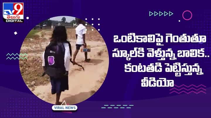 ఒంటికాలిపై గెంతుతూ స్కూల్కి వెళ్తున్న బాలిక.. కంటతడి పెట్టిస్తున్న వీడియో ఒంటికాలిపై గెంతుతూ స్కూల్కి వెళ్తున్న బాలిక.. కంటతడి పెట్టిస్తున్న వీడియో