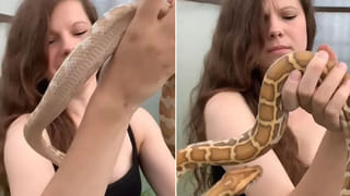 Viral Video: కుక్క ‘హై జంప్‌’కు వీడియో వైరల్.. ఒలింపిక్స్‌కు పంపమంటున్న నెటిజన్లు..