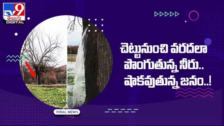 చెట్టునుంచి వరదలా పొంగుతున్న నీరు.. షాకవుతన్న జనం !! చెట్టునుంచి వరదలా పొంగుతున్న నీరు.. షాకవుతన్న జనం !!