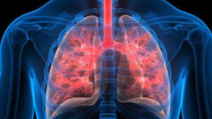 Lungs Health: ఆరోగ్యవంతమైన ఊపిరితిత్తుల కోసం ఇలా చేయండి.. ఆ రోగాలన్నీ దరిచేరవు అంతే..