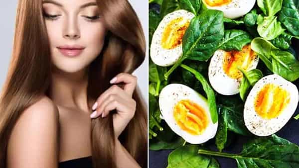 Hair Care Tips: జుట్టు రాలే సమస్యతో ఇబ్బందిపడుతున్నారా.. ఈ హెల్తీ డైట్ పాటించండి..!