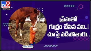 Egg Viral Video: గుడ్డుపై నుంచి వెళ్లిన భారీ ట్రక్కు..పెంకు కూడా ఊడలే.! ఇంటర్నెట్ షేక్ చేస్తున్న వీడియో..