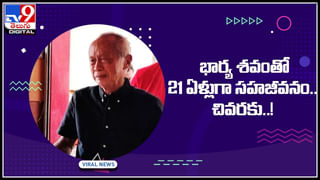 Lion Running: వ్యక్తిని చూసి సింహం పరుగో పరుగు నెట్టింట వైరల్‌ అవుతున్న షాకింగ్‌ వీడియో