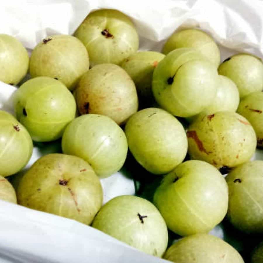 ఉసిరిలో విటమిన్ సి పుష్కలంగా ఉంటుంది. ఖాళీ కడుపుతో ఉసిరి తినడం వల్ల శరీరంలోని అనేక రుగ్మతలు దూరమవుతాయి. ఇది గుండె జబ్బుల ప్రమాదాన్ని తగ్గిస్తుంది. దీంతోపాటు కాలేయం ఆరోగ్యంగా ఉంటుంది. 
