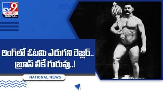 కదలలేని స్థితలో తల్లి పక్షి.. ఆహారాన్ని అందిస్తున్న పిల్ల పక్షి.. హృదయాలను కదిలిస్తున్న వీడియో