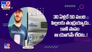 Viral video: కుక్కకు అంత్యక్రియలు చేసిన కుక్కలు.. హార్ట్ టచింగ్ వీడియో