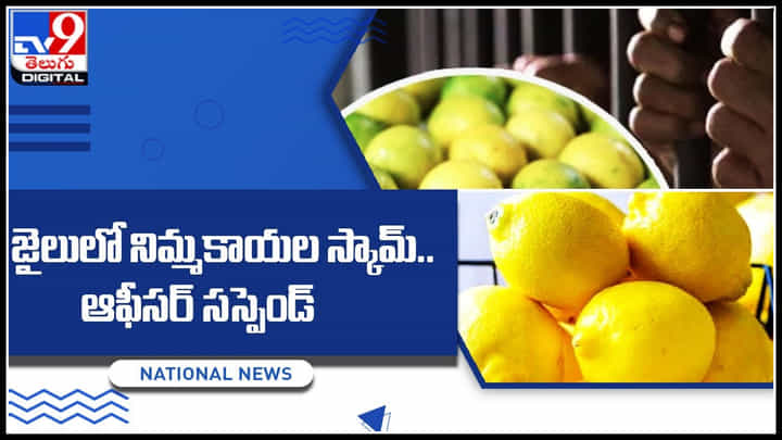 Lemon scam: జైలులో నిమ్మకాయల స్కామ్.. ఆఫీసర్ సస్పెండ్..! అసలు సంగతి తెలిస్తే షాకె..! Lemon scam: జైలులో నిమ్మకాయల స్కామ్.. ఆఫీసర్ సస్పెండ్..! అసలు సంగతి తెలిస్తే షాకె..!