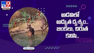 Viral: పెళ్లిపీటల మీద బయటపడిన రహస్యం.. కట్ చేస్తే మ్యారేజ్ క్యాన్సిల్.. అసలు సంగతి తెలిస్తే షాకే!