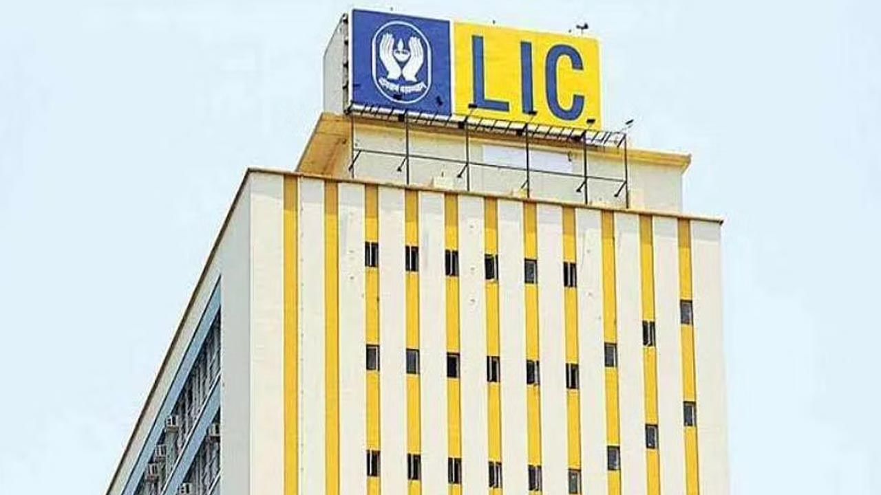 LIC: ఎల్ఐసీ షేర్లు కొన్నవారి పరిస్థితి ఏమిటి.. 15% పతనమైన స్టాక్.. అమ్మేయాలా..? ఉంచుకోవాలా..!