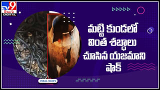 Electrician Love: అబ్భా ప్రేమ ఎంత పనైనా చేయిస్తుంది అంటే ఇదే మరి..! గర్ల్‌ ఫ్రెండ్‌ కోసం ఎలక్ట్రీషియన్ వింత పని..!