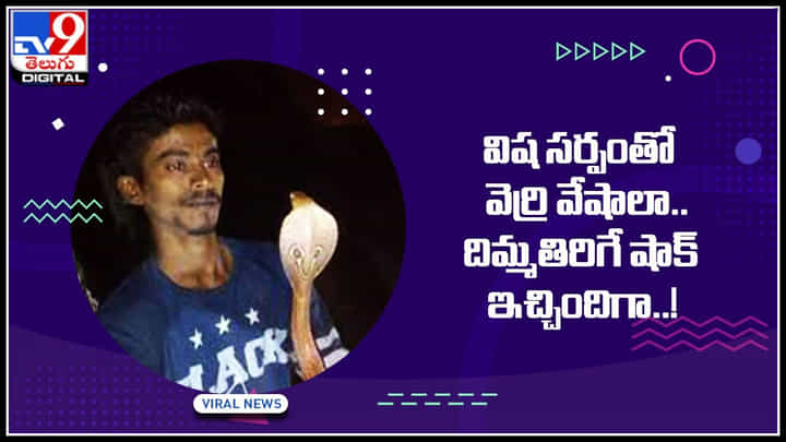 Snake Viral Video: విష సర్పంతో వెర్రి వేషాలా.. పాముకి చిర్రెత్తడంతో దిమ్మతిరిగే షాక్ ఇచ్చిందిగా..! Snake Viral Video: విష సర్పంతో వెర్రి వేషాలా.. పాముకి చిర్రెత్తడంతో దిమ్మతిరిగే షాక్ ఇచ్చిందిగా..!