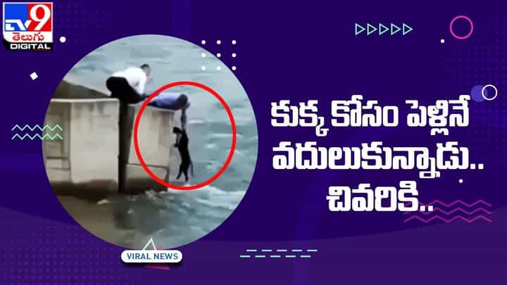 కుక్క కోసం పెళ్లినే వదులుకున్నాడు.. మూగప్రేమకు దాసోహమంటున్న నెటిజన్లు కుక్క కోసం పెళ్లినే వదులుకున్నాడు.. మూగప్రేమకు దాసోహమంటున్న నెటిజన్లు