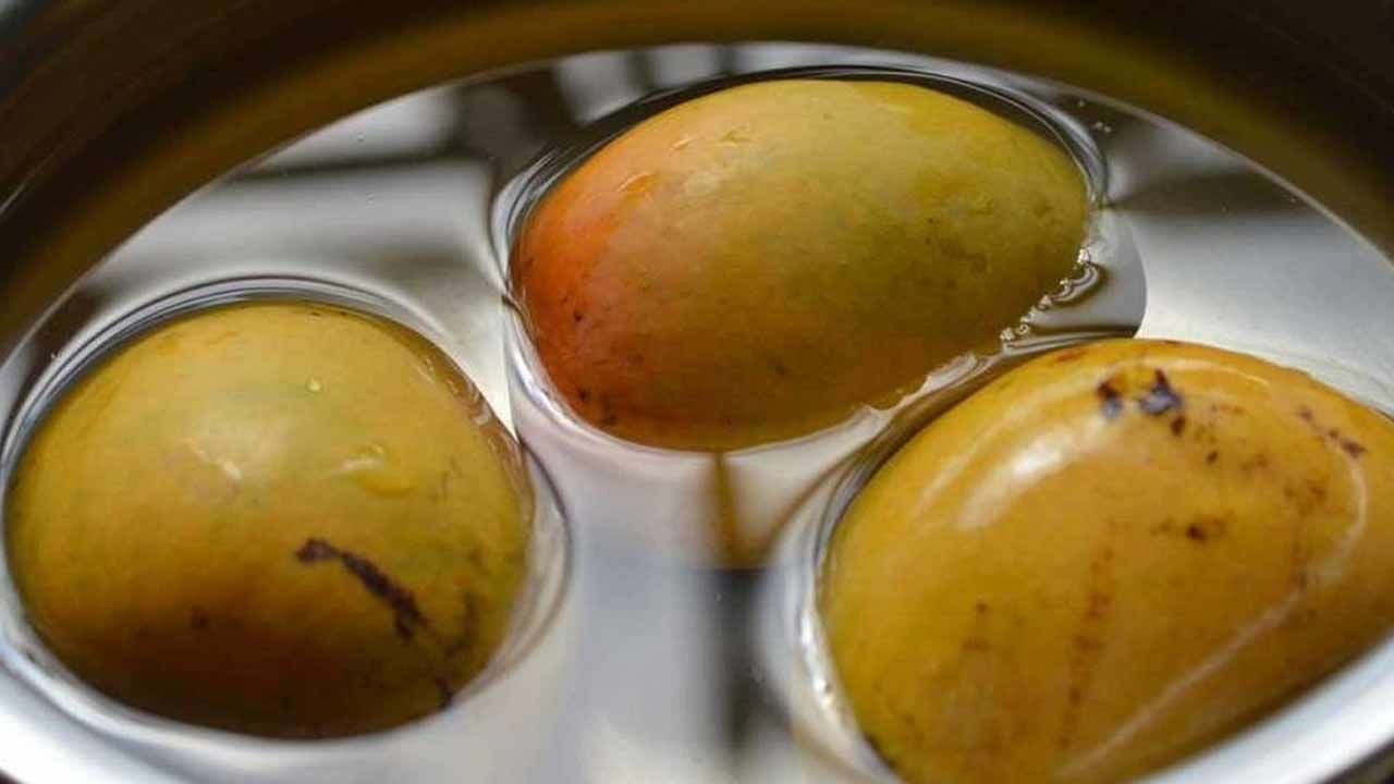 Soaking Mangoes: తినే ముందు మామిడి పండ్లను ఎందుకు నానబెట్టాలో తెలుసా?.. సైన్స్ చెబుతున్న షాకింగ్ నిజాలివే..!