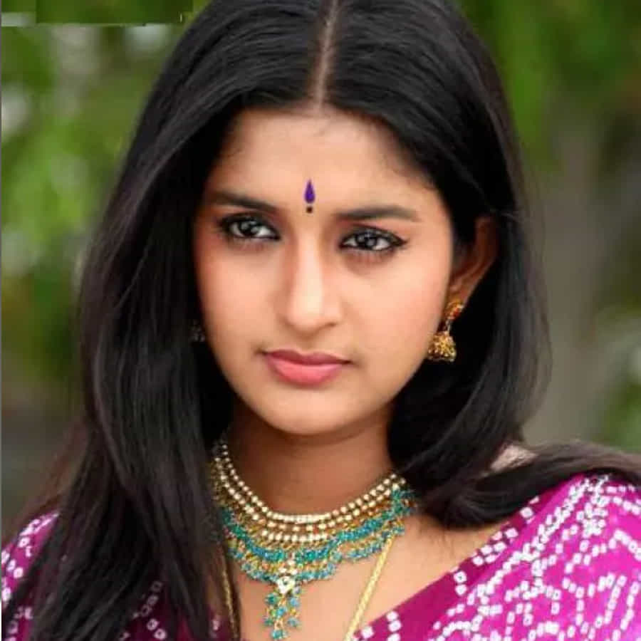 మీరా జాస్మిన్ దాదాపుగా దశాబ్దం పాటు సౌత్ సినీ ప్రేమికులను ఎంటర్ టైన్ చేసింది.