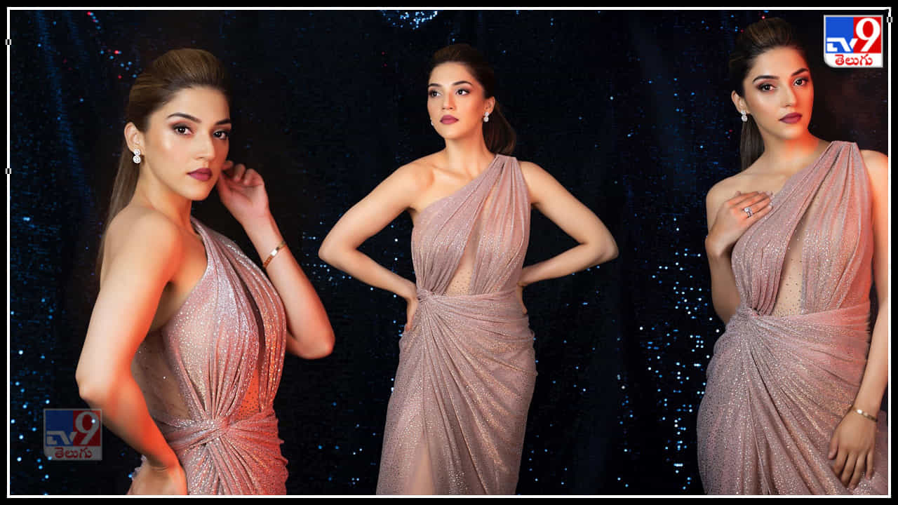 Mehreen Kaur Pirzada:మాతెక్కించే ఫోజులతో కొంటే చూపులతో మతిపొగోట్టేస్తున్న మెహ్రీన్..