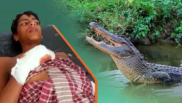 14ఏళ్ల సాహు..పేరుకు తగ్గట్టుగానే మొసలికి చుక్కలు చూపించాడు..దెబ్బకు దాని కళ్లుపోయాయ్..