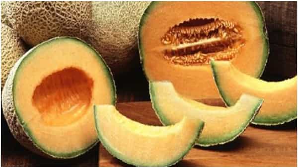Muskmelon Benefits: బీపీ కంట్రోల్కు ఈ పండు దివ్య ఔషధం.. ఇంకా బోలెడన్ని ఆరోగ్య ప్రయోజనాలు..