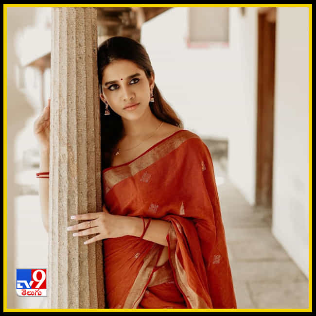 Nabha Natesh New Photos. Credit by:Nabha Natesh/Instagram